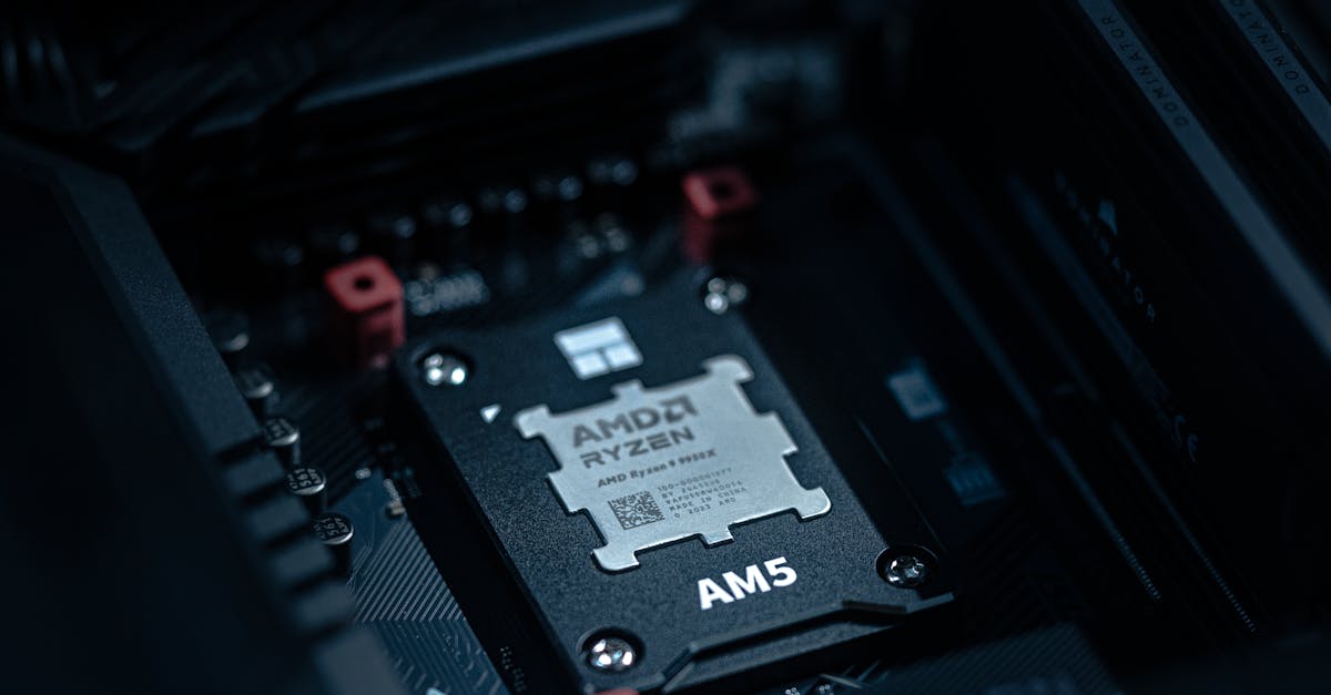 AMD 라이젠9 5900XT와 라이젠7 5800XT 프로세서 성능과 가격 경쟁력 비교