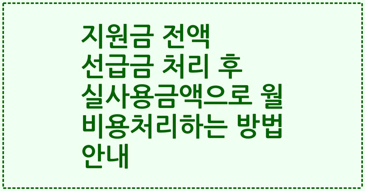 지원금 전액 선급금 처리 후 실사용금액으로 월 비용처리하는 방법 안내