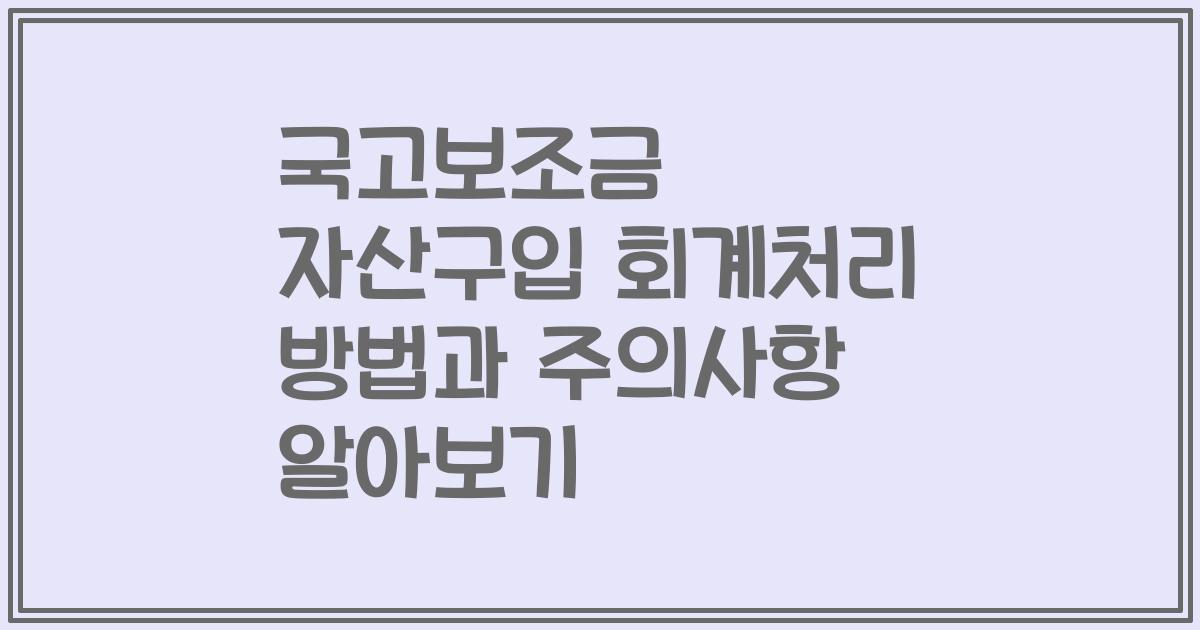국고보조금 자산구입 회계처리 방법과 주의사항 알아보기