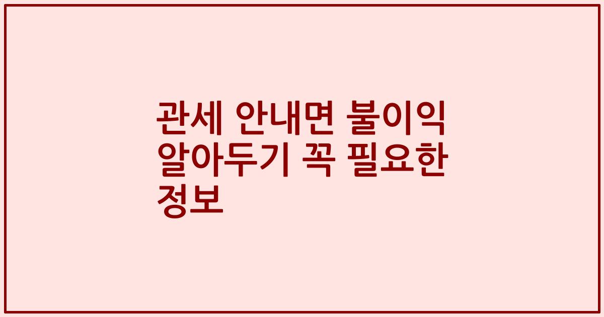 관세 안내면 불이익 알아두기 꼭 필요한 정보