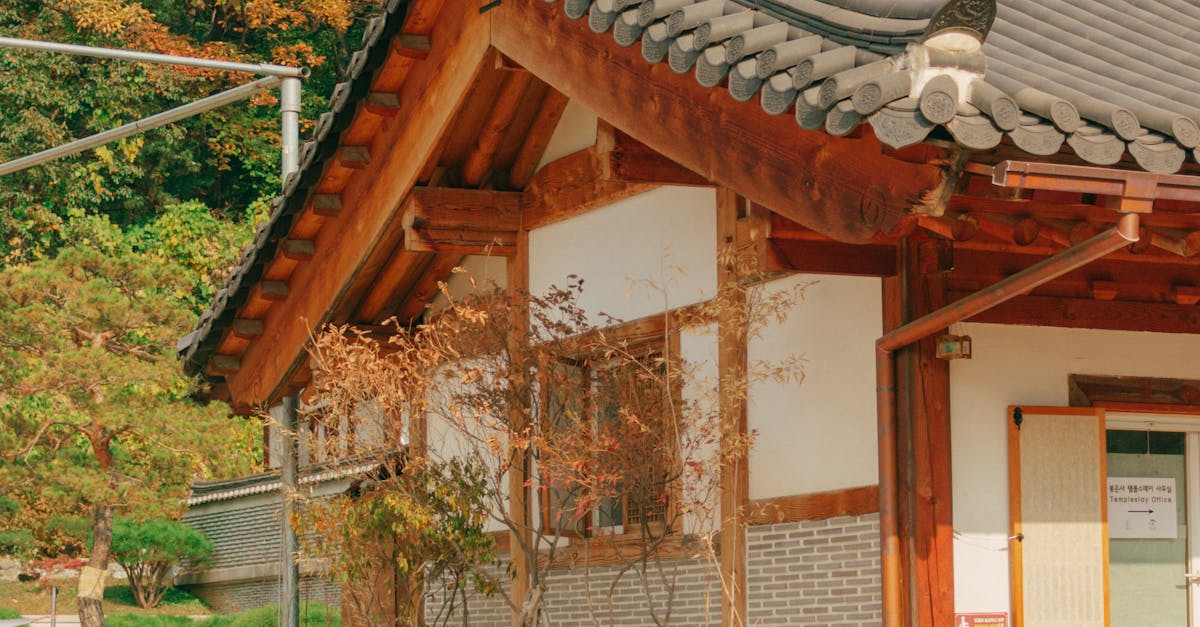 소한의 의미와 풍습: 한국 전통 절기의 이해와 현대적 활용